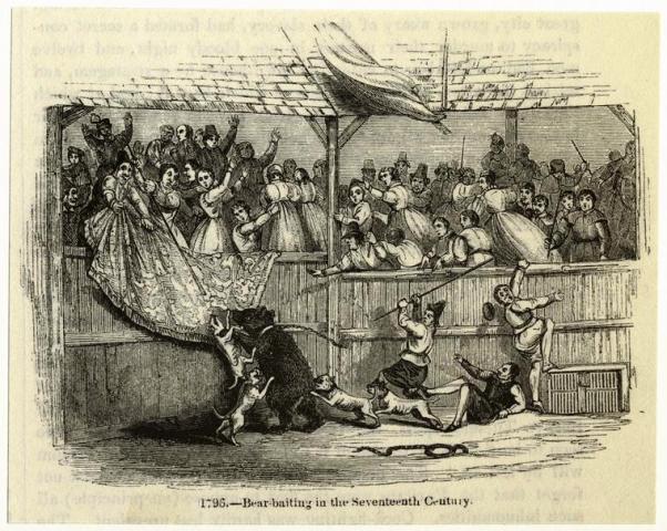 Popular in England during the 17th and 18th centuries, illegal bear-baiting took place occasionally in New York City in the mid-1800s, most notably at James McLaughlin's dog pit at 155 First Avenue (corner of East 10th Street). In bear-baiting, the bear would be chained by the neck or leg to a stake and harassed by dogs.