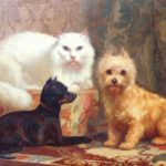 J.H. Dolph Angora Cat and Dogs
