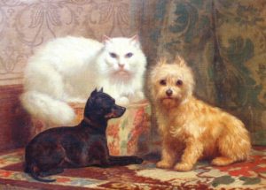 J.H. Dolph Angora Cat and Dogs