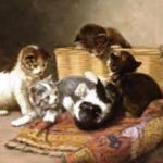 J.H. Dolph Plahing Kittens