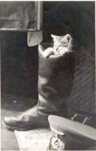 Police Cat Mascot in Boot