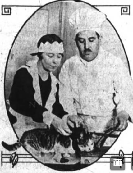 Abe, the pampered cat of the Hotel Lincoln, was born on the very edge of Hell's Kitchen in 1927.