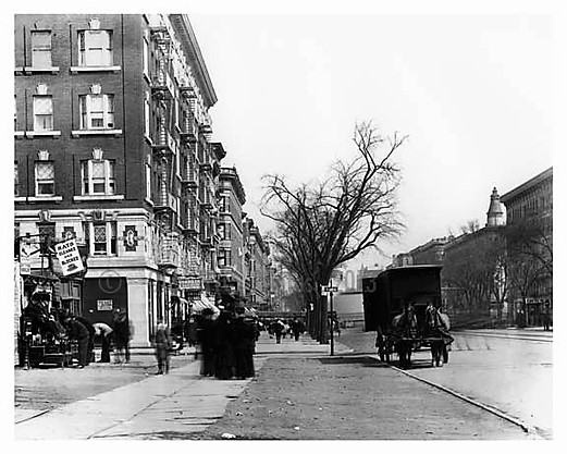 Herman Gottlieb got off the train with his baskets of catnip at Lenox Avenue and 110th Street, pictured here in 1910. 