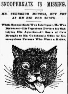 Snooperkatz got a lot of press when he went missing from The Gudebrod Brothers Silk Company at 644 Broadway.