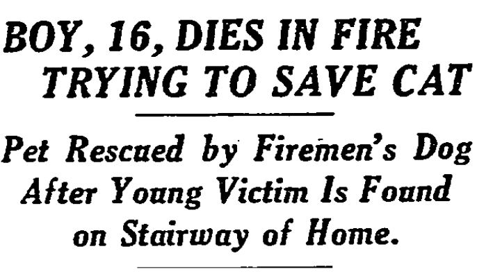 About two years after Nip rescued the kittens, he saved a cat from a four-story brick apartment building at 308 Hicks Street in Brooklyn Heights. Sadly, he was not able to save the young boy, who had run up to the top floor in attempt to save the cat. 
The New York Times on November 11, 1936.