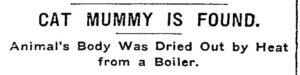 Bob Found in Grand Union Tea Company; Headlines from the New York Times, June 20, 1903