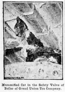 This image of the mummified cat appeared in the Brooklyn Daily Eagle. It's hard to make out, but you can just make a white paw wrapped around the black safety valve, as well as the side of Bob's face. 