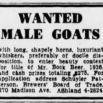 Goat Ad