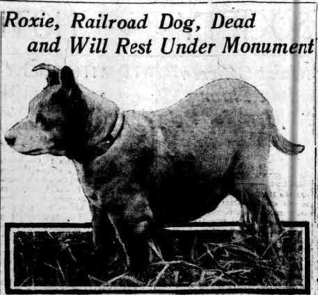 Roxy's death in 1914 made the headlines of many newspapers in New York State and throughout the country. 