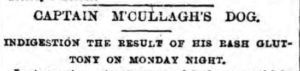 The headline about Captain M'Cullagh's dog in the New York Herald on February 4, 1885.