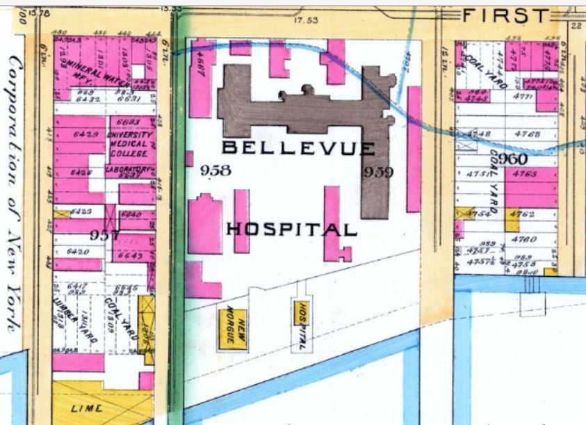 The Bellevue Establishment, 1895