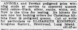 Even Elizabeth Kingston got in on the Christmas Kitten craze. She would often place ads in the paper announcing that she was booking orders for Christmas kittens.