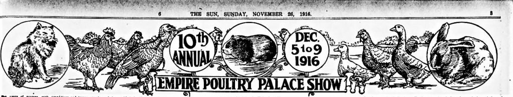 During the Grand Central Palace poultry and cat show, which took place in December 1916, "movie cats" and "Christmas kittens" were the talk of the town. 