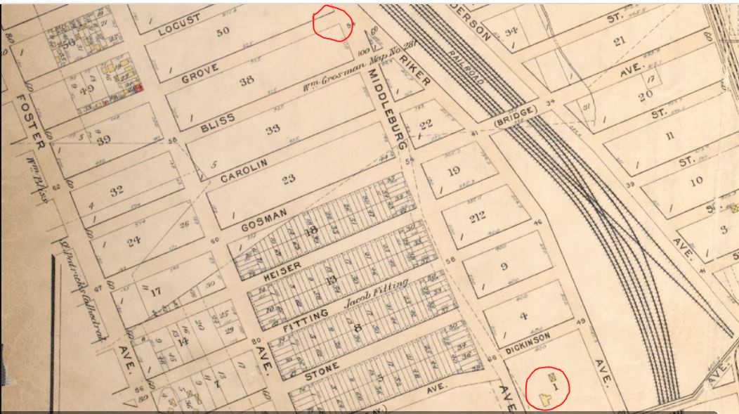 1842: The Pig That Dug Up a Pot of Gold in Sunnyside, Queens - The ...