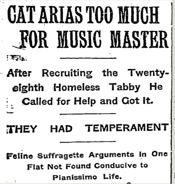 In 1908, Chevalier de Bassini was back to collecting and care for homeless cats.
