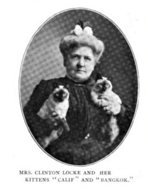 Mrs. Clinton Locke and her Siamese cats, Beresford Cat Club