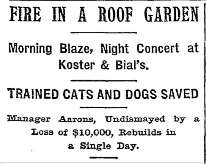 This headline about the fire and Professor Leonidas' dog and cat circus appeared in The New York Times on June 19, 1899. 