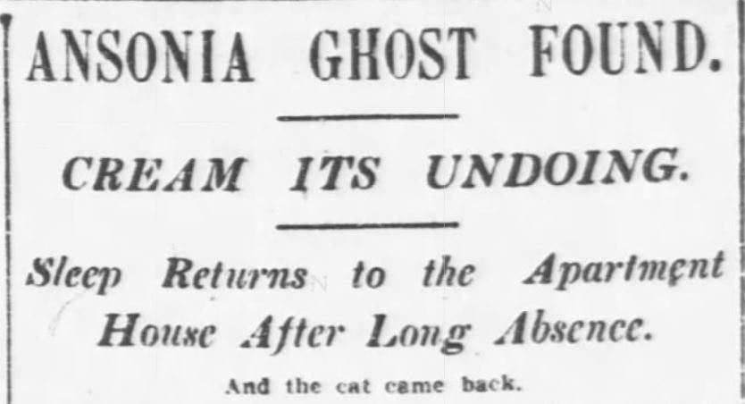 Ansonia Hotel ghost cat; New York Tribune, March 2, 1903
