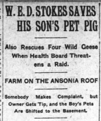 New York Times, November 12, 1907
Ansonia Hotel article