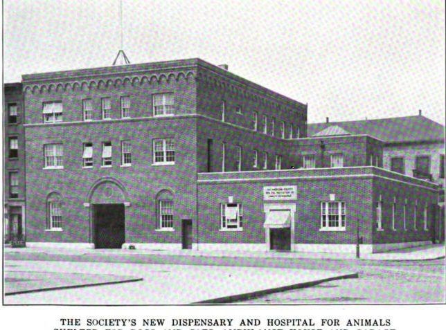 The SPCA Dispensary and Hospital for Animals was located on Avenue A at the corner of East 24th Street. Across the street was the East 23rd Street Bathhouse, constructed in 1908 (now the Asser Levy Recreation Center). Today this is the site of the Veterans Administration hospital complex on Asser Levy Place.