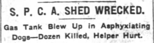 SPCA Shelter Explosion. New York Times, December 30, 1908