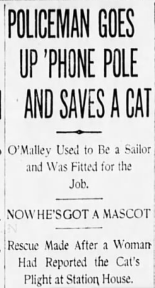 Sailor Policeman saves kitten in Mott Haven, January 25, 1909