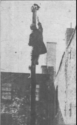 man climbs pole to rescue cat in Brooklyn, 1931