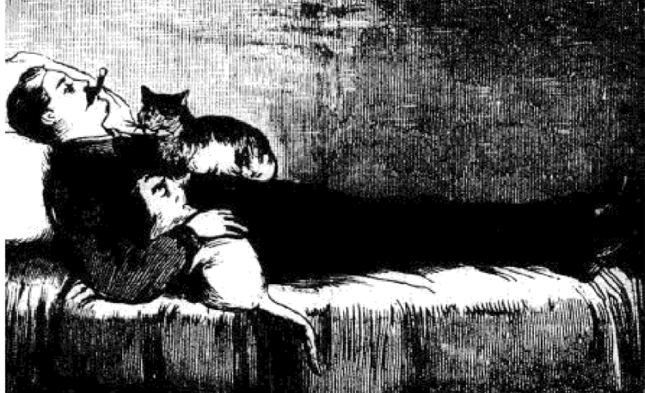 Edward Reinhardt relaxing with a cigar and two of his three cats the night before his execution by hanging at the Richmond County Jail on Staten Island on November 14, 1881. 