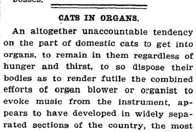 New York Times, September 6, 1899
Cats in Church Organs