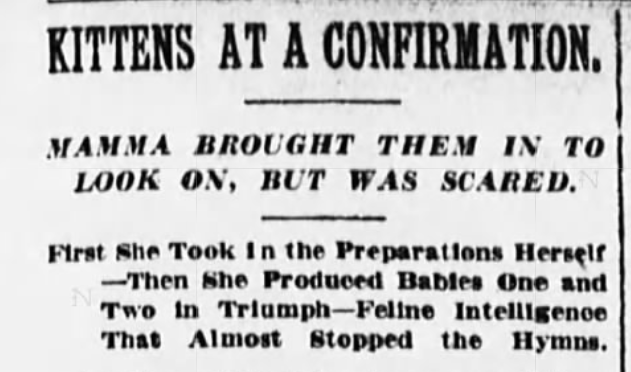 New York Sun, March 28, 1904
Kittens at Bishop Potter's Confirmation at Church of the Archangel