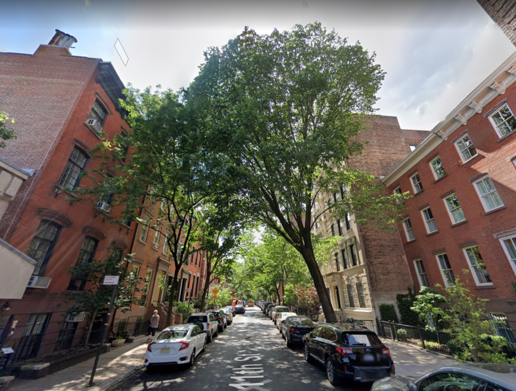 Could this be the tree in front of 227 West 11th Street where Senorita Succi the cat spent a few days prior to her rescue?