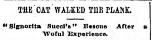 New York World, May 15, 1892
Cat rescued from tree on West 11th Street