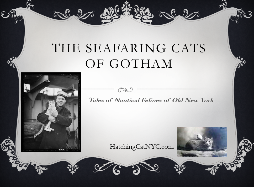 Seafaring Cats of Gotham presentation