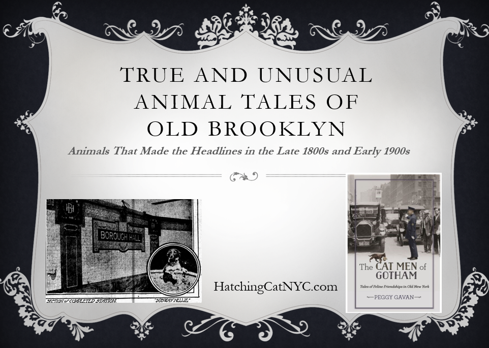 Brooklyn History: True and Unusual Animal Tales Virtual Presentation