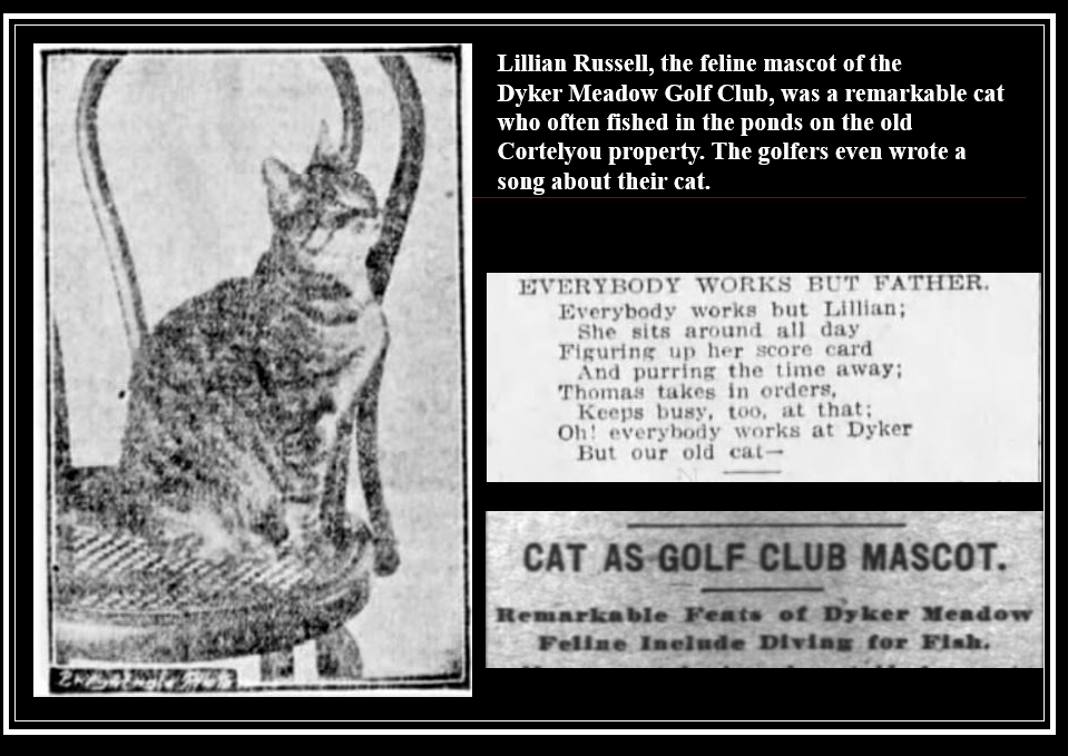 Lillian Russell Dyker Meadow Cat