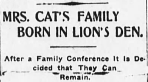 The Evening World, June 17, 1903
Adjia and Her Lions at the Circle Theatre
