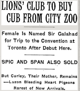 New York Times, July 4, 1931
Lion Cub purchased for Lions Club