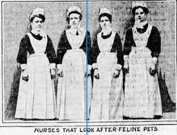The nurses who took care of the aristocratic cats at London's cat home.  Brooklyn Daily Eagle, December 14, 1913
