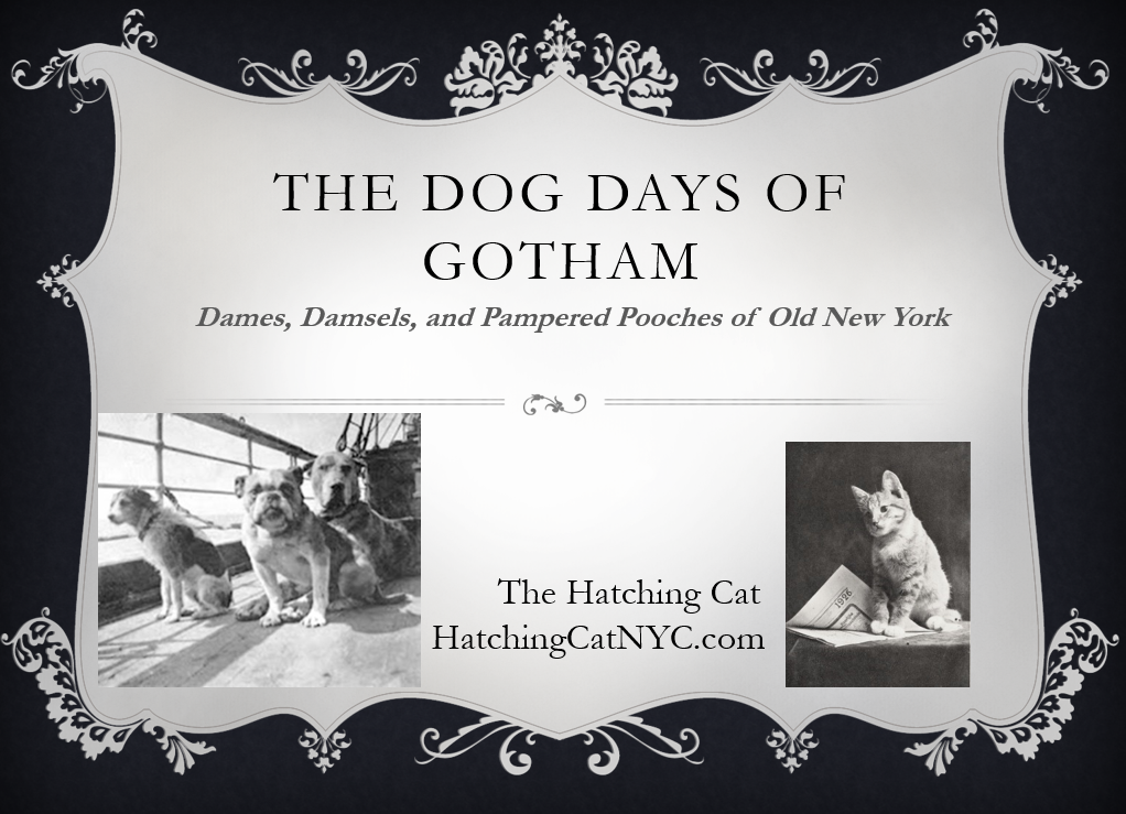 The Dog Days of Gotham Virtual Event for Dog Lovers