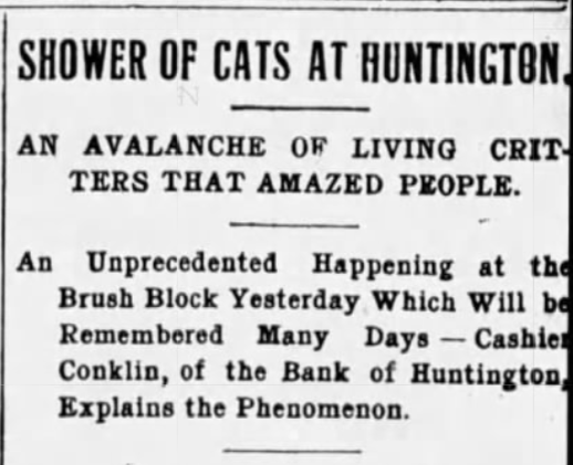 Brooklyn Daily Eagle, August 20, 1897
Shower of Cats at Huntington