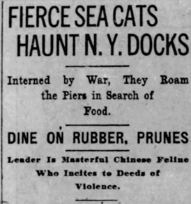 During World War I and World War II, hundreds of cats from all over the world were left stranded on the Chelsea Piers when the ships they had stowed away on left without them.