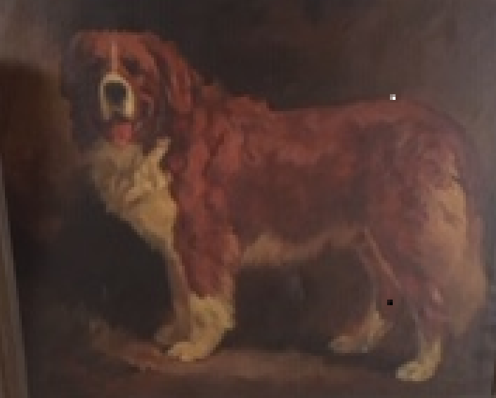 Oil painting of Rex Moore, courtesy of Natalie Newell, granddaughter of Bill and Doris Moore.