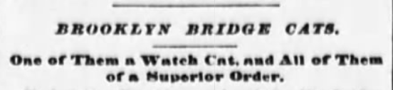 The Sun, October 13, 1895
Brooklyn Bridge Watchman article