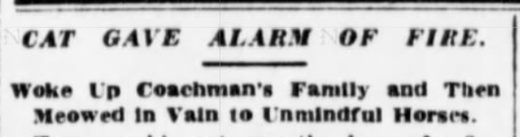 The Sun, November 26, 1906
Article about horse-saving blacksmith cat