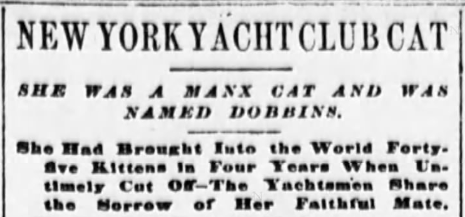 The Sun, January 8, 1897
New York Yacht Club cat story
