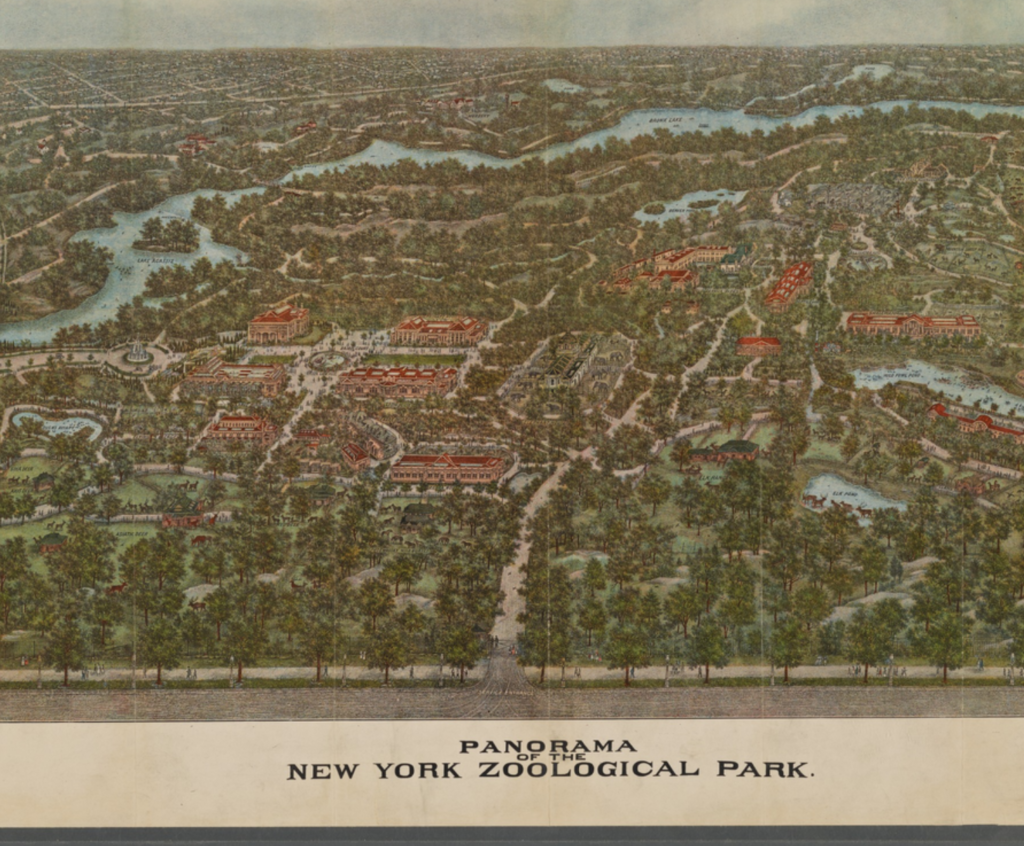 Bronx Zoological Park panoramic view, 1913