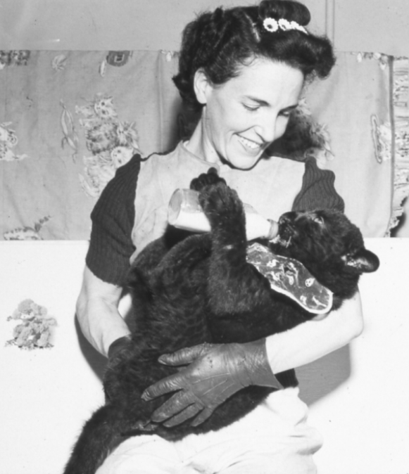 Helen Martini with baby panther at Bronx Zoo. 