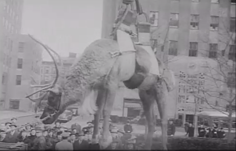 Reindeer delivered by crane at Rockefeller Center
Jolly Old Gotham Virtual Presentation