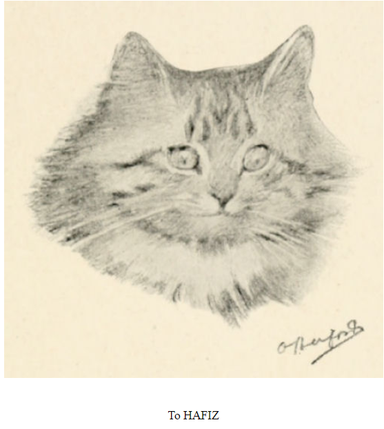 Illustration of Hafiz. From "A Kitten's Book of Verses." Oliver Herford, 1911. 