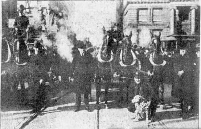 Deputy Fire Commissioner Thompson, Jiggs, and the last fire horses of the FDNY. Brooklyn Times Union, December 21, 1922. 